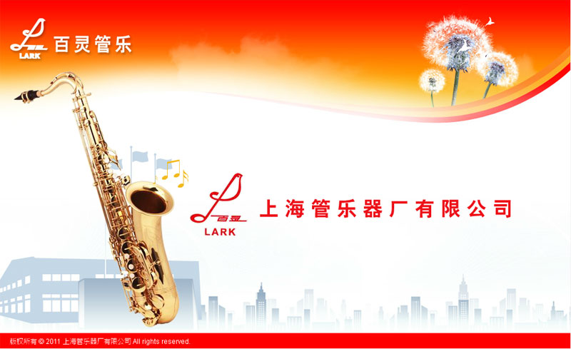 上海管乐器厂上海网站建设