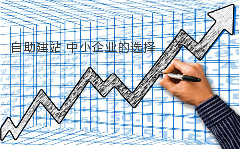 自助建站行业分析 自助建站行业分析