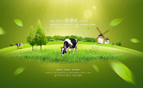上海网站制作公司引导页制作方法 上海网站制作公司引导页制作方法