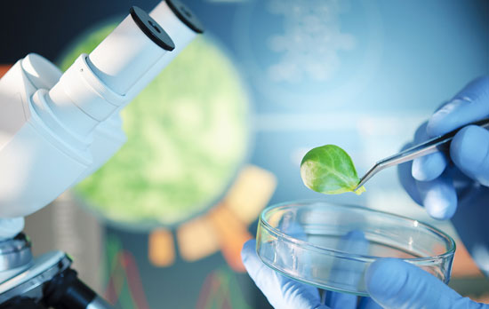 上海做网站公司关于生物网站案例